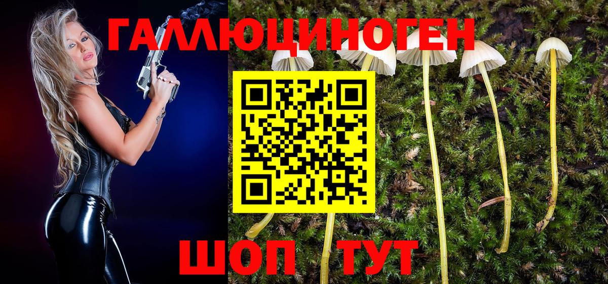 Псилоцибиновые грибы Cubensis  Вход с VPN  Сердобск 